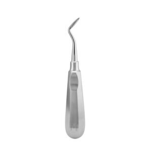 Flohr Root Elevator with Stainless Steel Handle