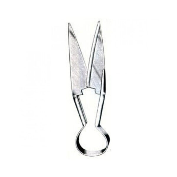 Stainless steel sheep shear