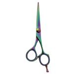 Rainbow Edge Hair Dressing Scissors