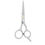 Silver Edge Hair Dressing Scissors