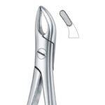 Anato Curve Serrated Dental Forceps