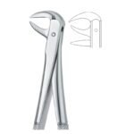 Anato Line Serrated Dental Forceps