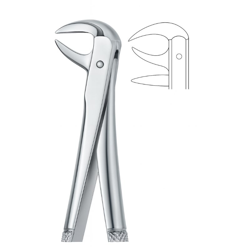 Anato Line Serrated Dental Forceps