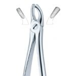 Anatomi Grip Curved Dental Forceps