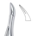 Anatomical Curve Grip Dental Forceps