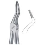 Anatomical Edge Grip Dental Forceps