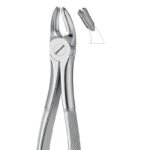 Apex Serrata Root Forceps