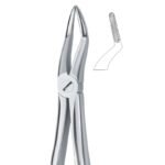 Axis Grip Serrated Dental Forceps