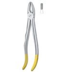 Comfort Grip Serrated Dental Forceps