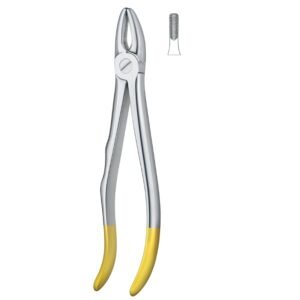Comfort Grip Serrated Dental Forceps