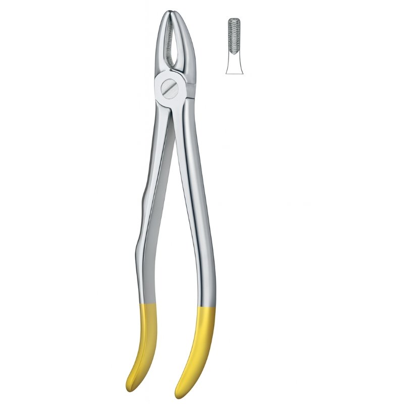 Comfort Grip Serrated Dental Forceps Comfort Grip Serrated Dental Forceps