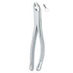 Comfort Molar Grip Dental Forceps