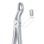 Contour Edge Grip Dental Forceps