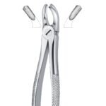 Cross Beak Stainless Dental Forceps