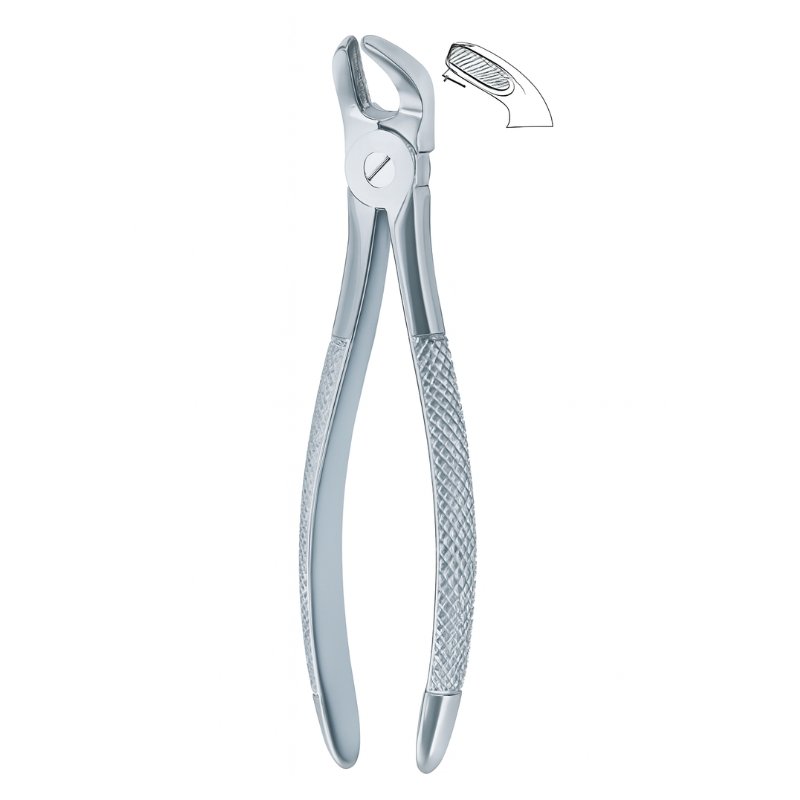 Cross Serrata Axis Dental Forceps Cross Serrata Axis Dental Forceps