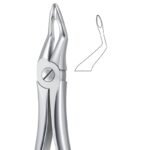 Curve Form Stainless Dental Forceps
