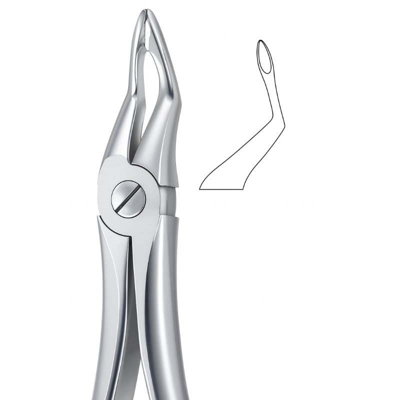 Curve Form Stainless Dental Forceps Curve Form Stainless Dental Forceps