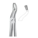 Curve Grip Serrated Dental Forceps