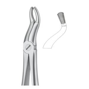 Curve Grip Serrated Dental Forceps