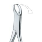 Curved Axis Molar Grip Dental Forceps