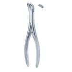 Curved Beak Axis Dental Forceps