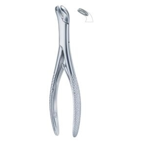 Curved Beak Axis Dental Forceps