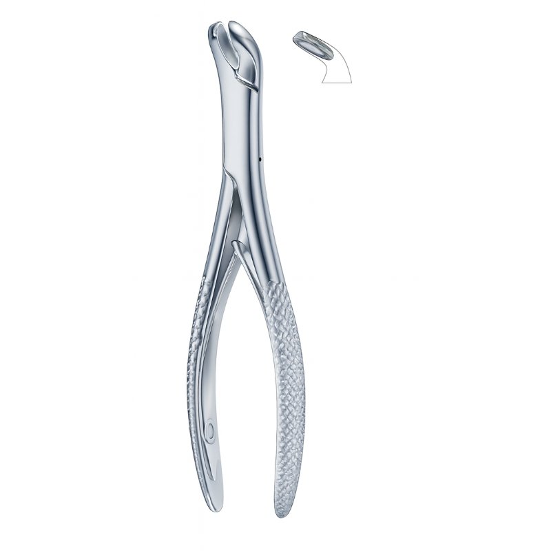 Curved Beak Axis Dental Forceps