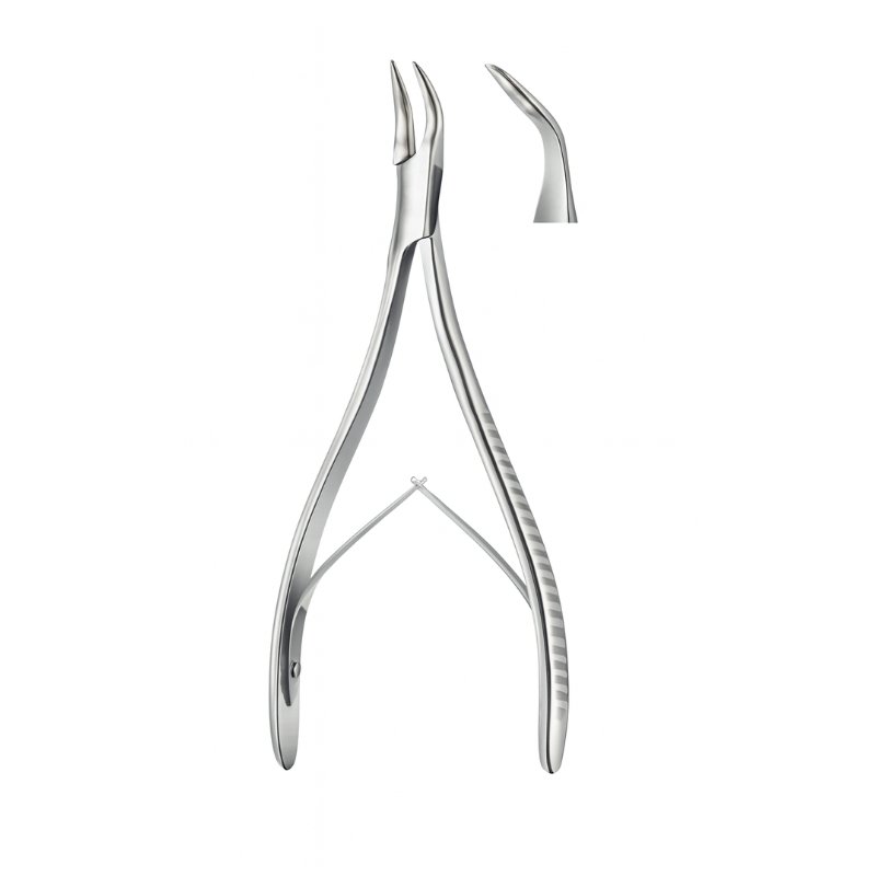 Curved Beak Extraction Forceps Spring Handle