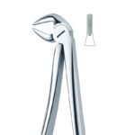 Curved Beak Textured Grip Dental Forceps