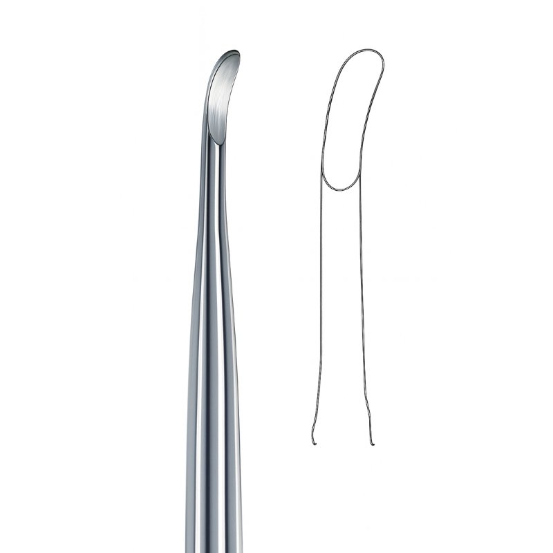 Curved Root Elevator Curved Root Elevator