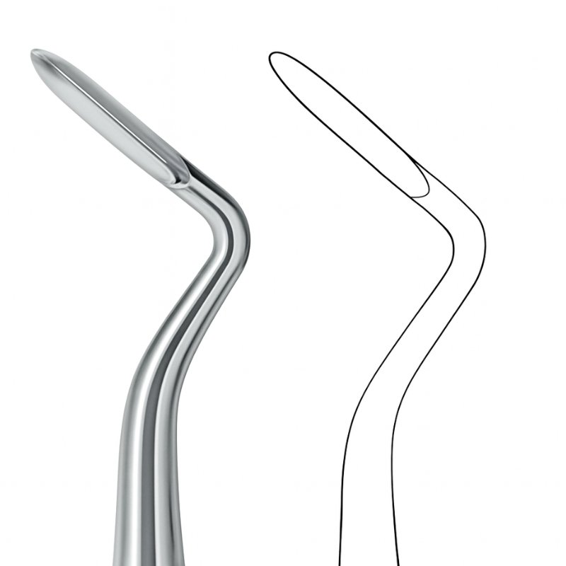 Curved Scaler-Style Root Elevator with Ergonomic Handle Curved Scaler-Style Root Elevator with Ergonomic Handle