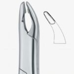 Detail Curve Grip Dental Forceps