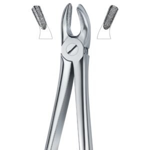 Detail Grip Serrated Dental Forceps