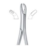 Dual Angle Curve Grip Dental Forceps
