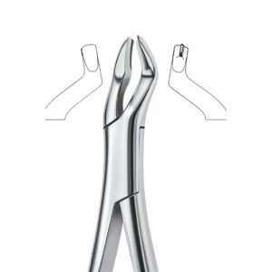Dual Axis Grip Dental Forceps
