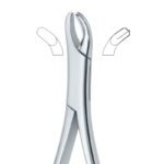 Dual Contour Molar Grip Dental Forceps