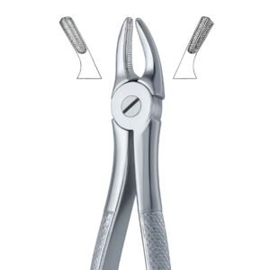 Dual Serrata Edge Dental Forceps