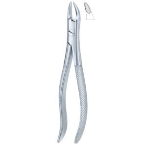 Ergo Axis Dental Forceps