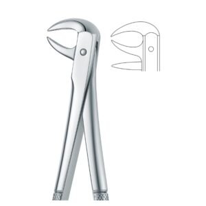 Ergo Curve Serrated Dental Forceps