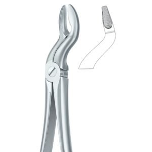 Firm Grip Serrated Dental Forceps
