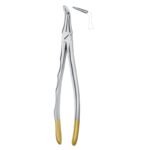 Golden Curve Grip Dental Forceps