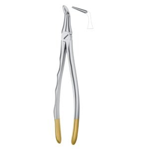 Golden Curve Grip Dental Forceps
