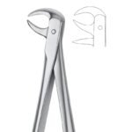 Joint Curve Stainless Dental Forceps