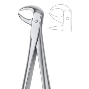Joint Curve Stainless Dental Forceps