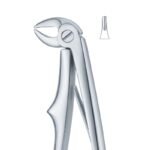 Molar Curve Axis Dental Forceps