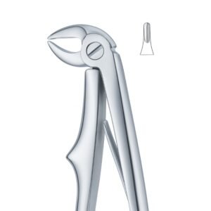 Molar Curve Axis Dental Forceps