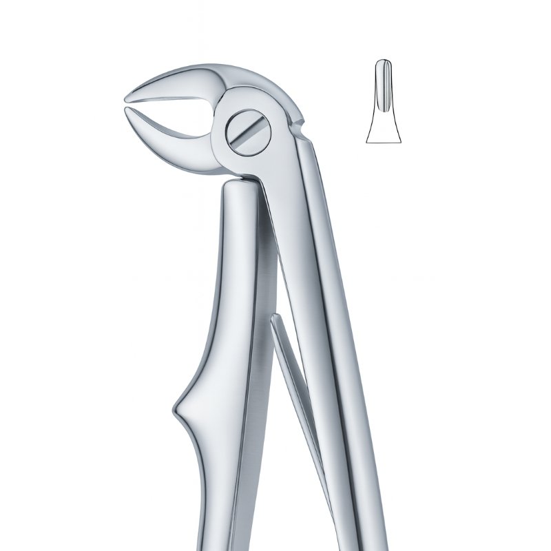 Molar Curve Axis Dental Forceps Molar Curve Axis Dental Forceps