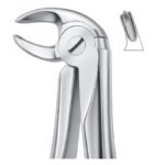 Molar Root Contoured Dental Forceps
