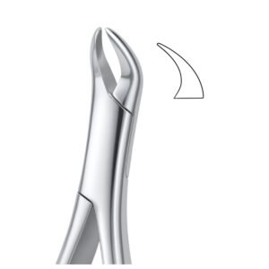 Molar Root Curve Grip Dental Forceps