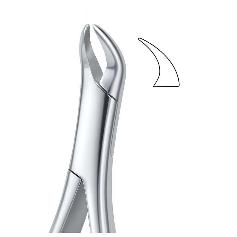 Molar Root Curve Grip Dental Forceps Molar Root Curve Grip Dental Forceps